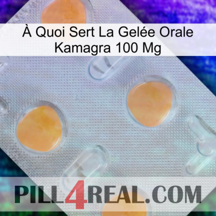À Quoi Sert La Gelée Orale Kamagra 100 Mg 24